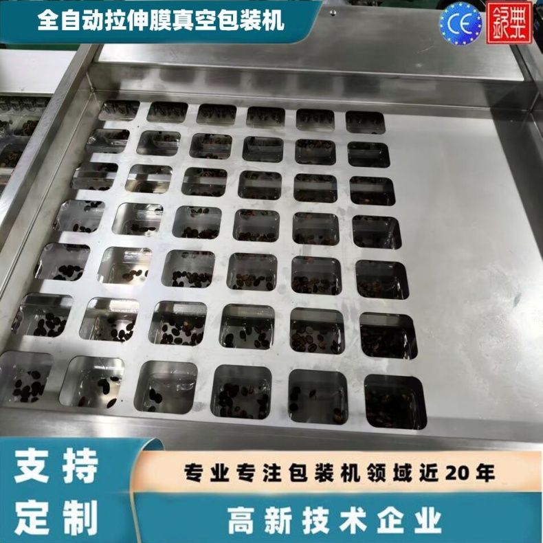 真空包装机/全自动热成型拉伸膜包装机/拉伸膜真空封口机全自动