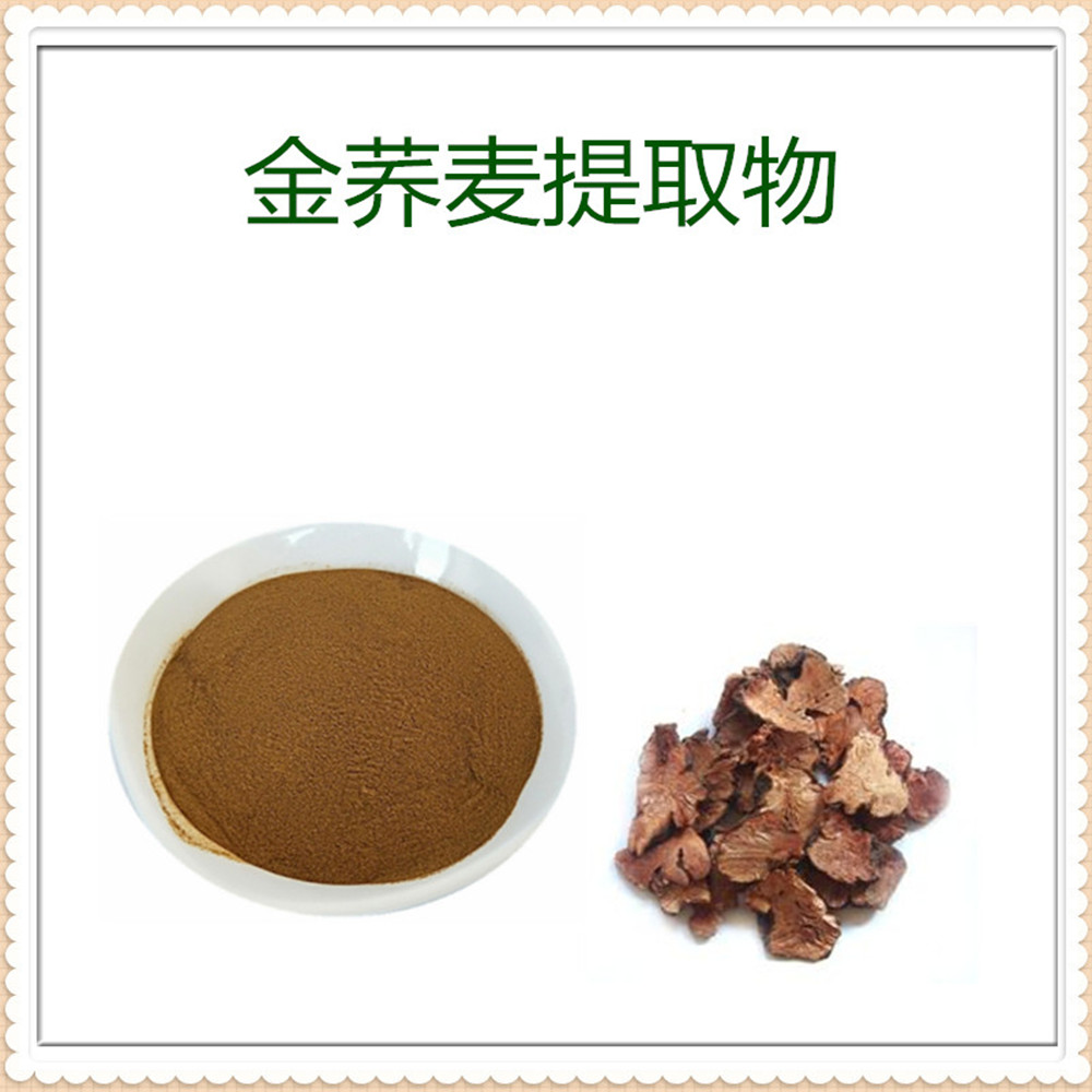 金荞麦提取物 10:1 金荞麦粉 食品级原料 喷雾干燥工艺