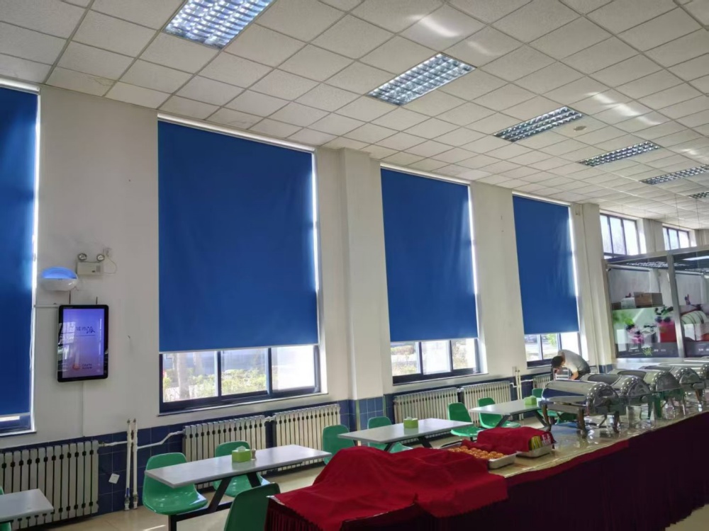 办公遮阳窗帘 隔热卷帘 百叶窗帘 会议布帘 依布世嘉 定做安装厂家