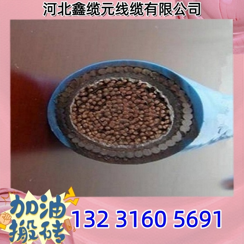 50*2*1/0.8 矿用通信电缆MHYAV MHYSV-20*2 30*2