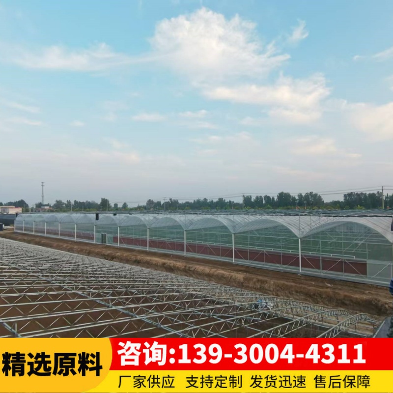 连栋日光温室大棚薄膜大棚