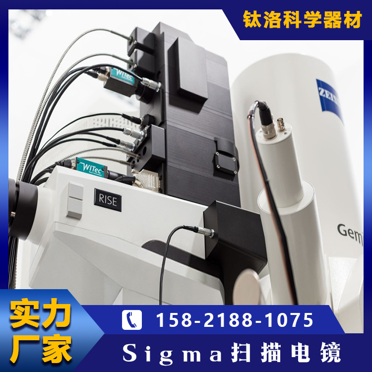 Sigma扫描电镜 场发射 可变压模式 对比度清晰 全国发货