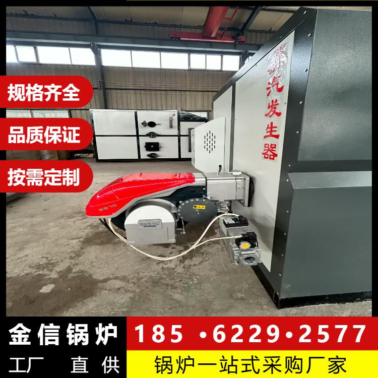 蒸汽锅炉 天然气节能环保 金信锅炉厂家规格齐全按需定制