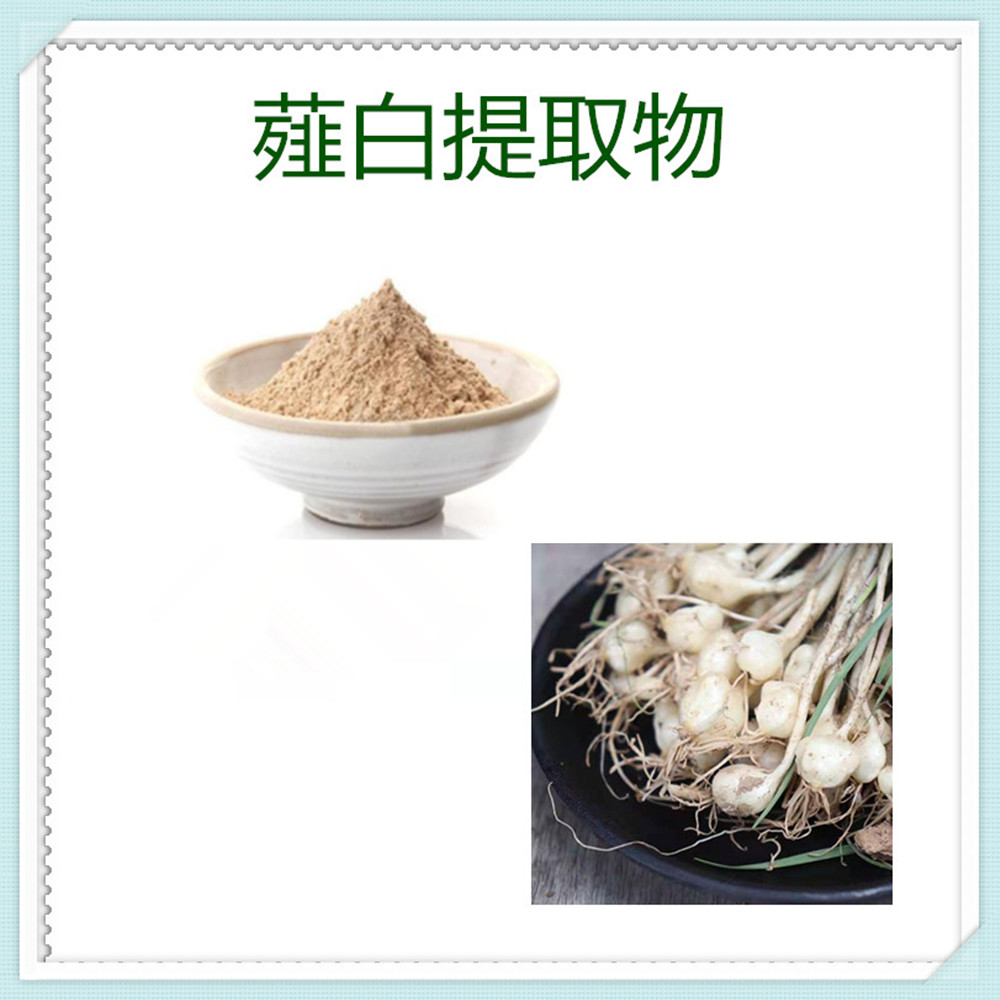薤白提取物 棕黄色精细粉末 10:1 喷雾干燥工艺 多种规格可定制 包邮