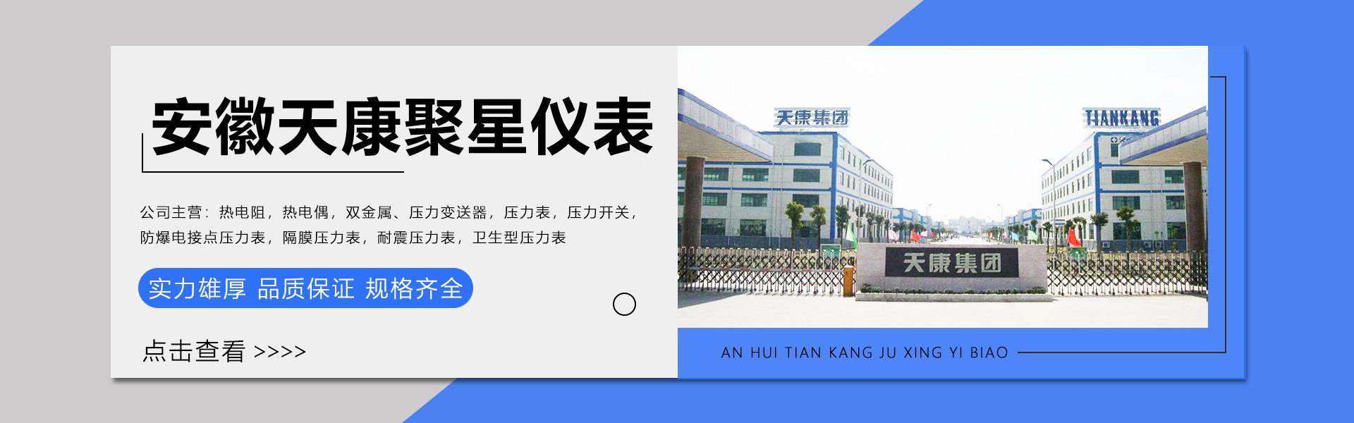 安徽天康聚星仪表有限公司