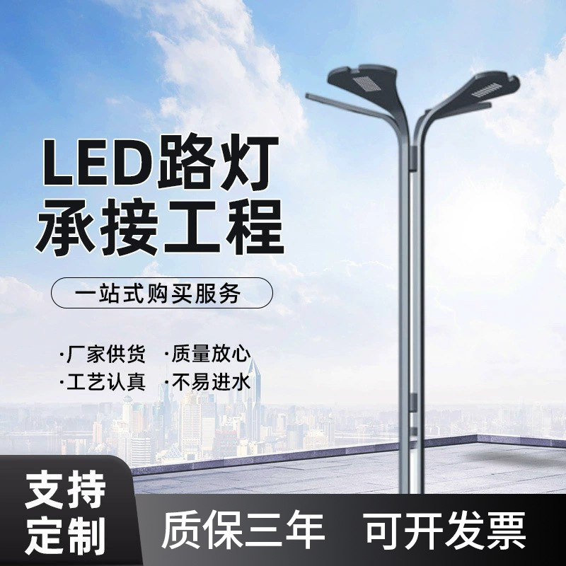 厂家供应LED多头市电路灯工程道路照明路灯6米8米12米LED路灯杆