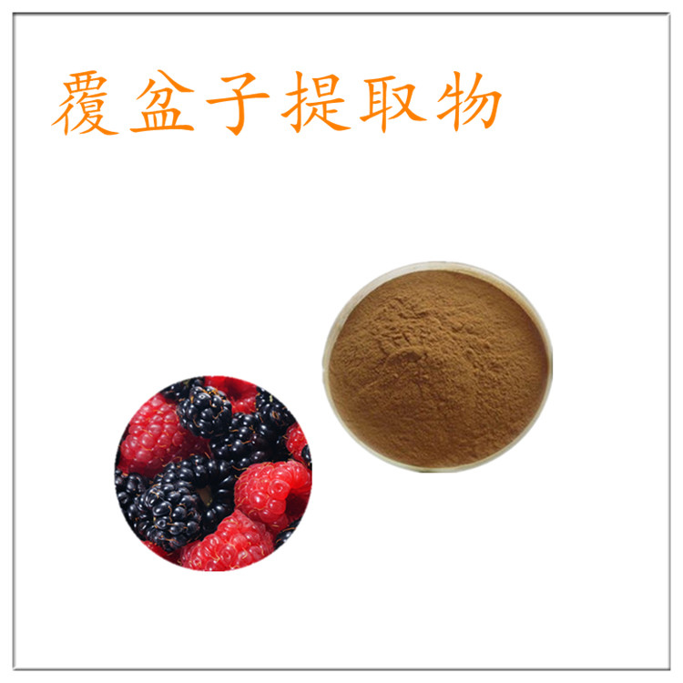 覆盆子提取物 覆盆子黄酮 棕黄色精细粉末 厂家现货 多规格定做