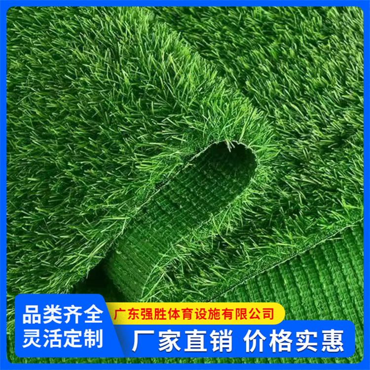 人造草坪 施工围栏遮盖塑料仿真绿草皮