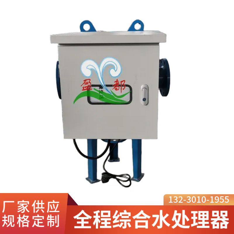 襄阳直通型综合水处理器 物化自动水处理仪