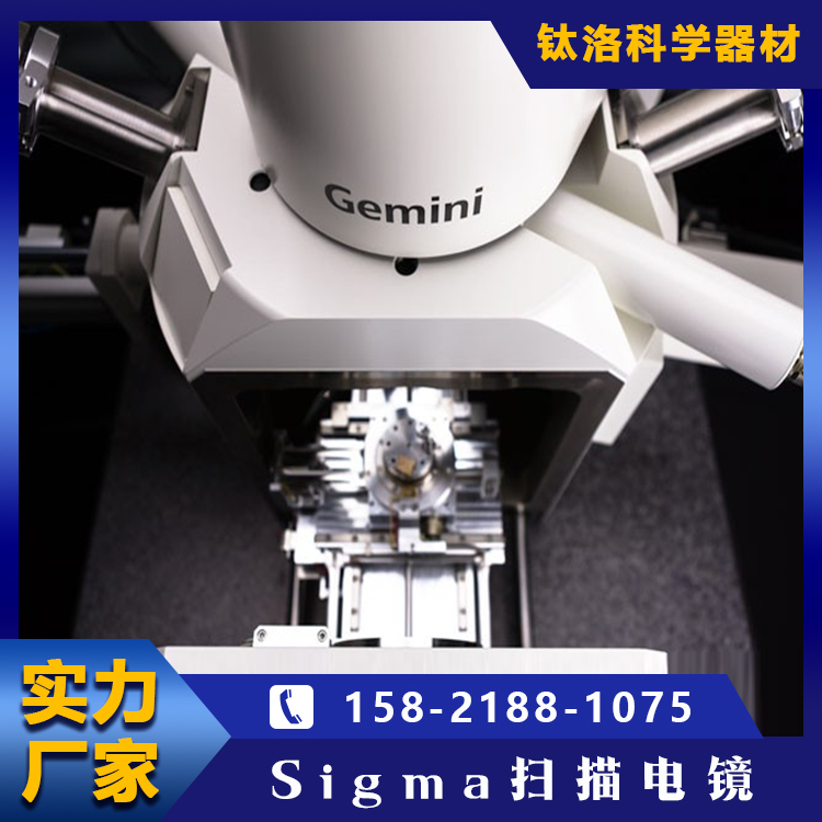 Sigma扫描电镜 场发射 成像清晰 探测灵活 原装进口