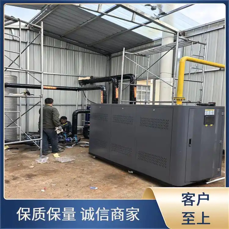 高效燃气锅炉 采购 质量好的 程锦 低温运行稳定