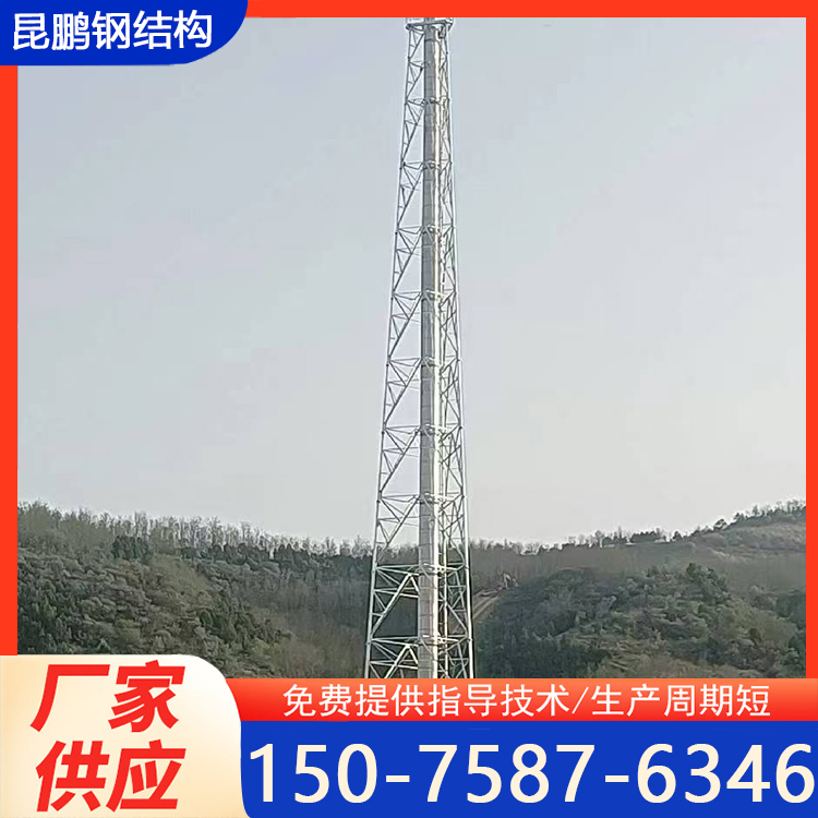 化工厂烟囱塔 火炬塔不锈钢烟筒塔 碳钢烟囱护架 结构坚固