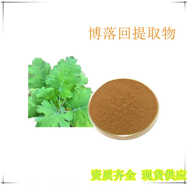 博落回提取物 萃取粉 10:1 血根碱40% 棕黄色粉末 全水溶