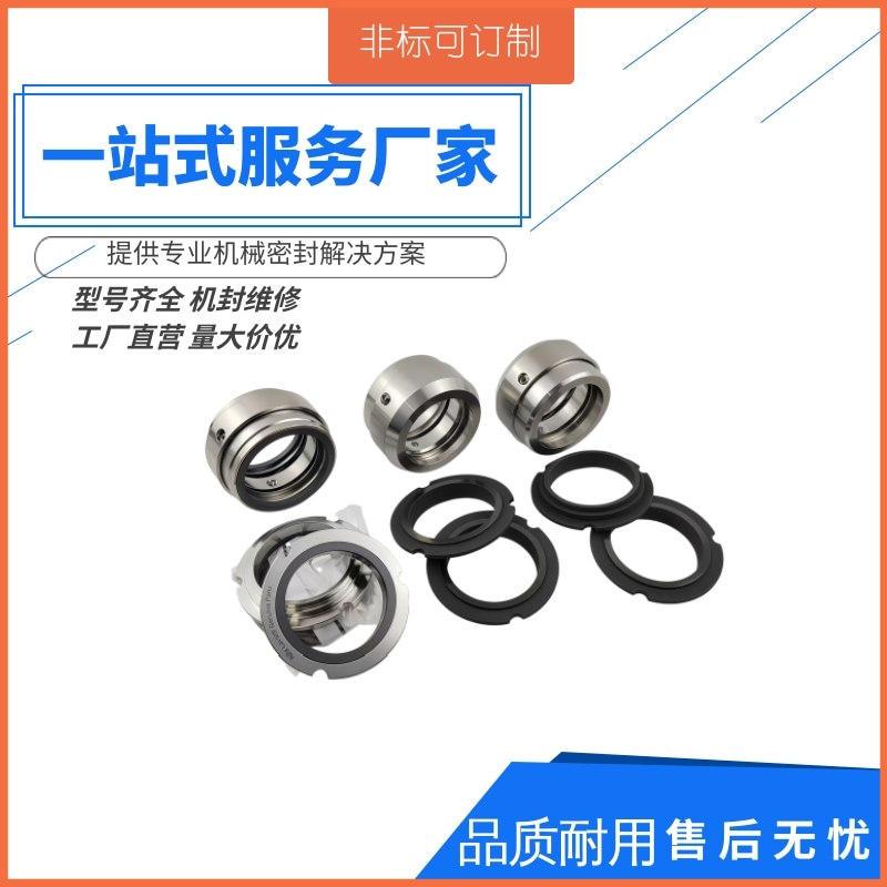 供应罗瓦拉ESHS50-250-220 水泵机械密封ESH泵用轴封