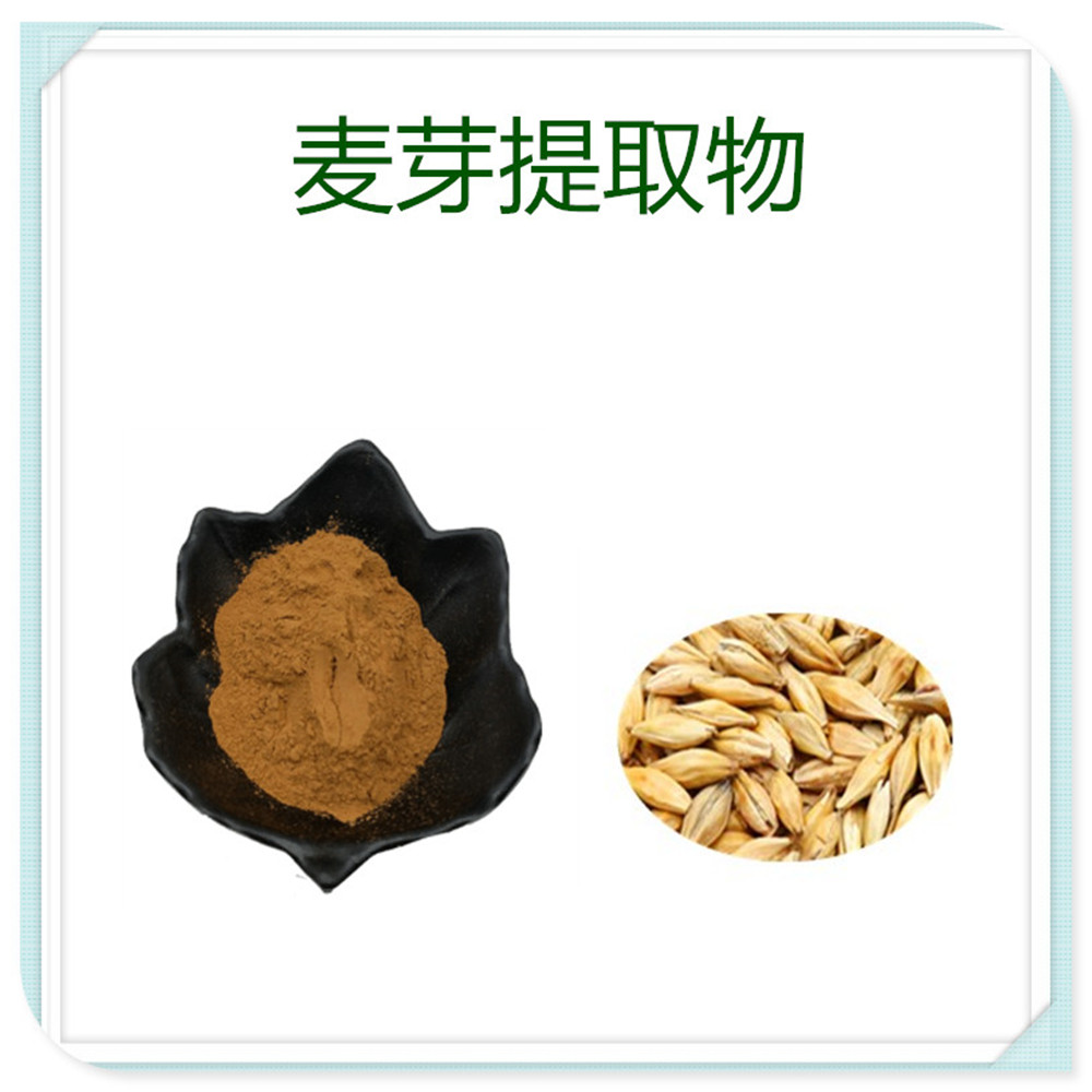 麦芽提取物 多种规格10:1 30:1 可定制 植物提取物 食品级原料 麦芽粉 厂家现货