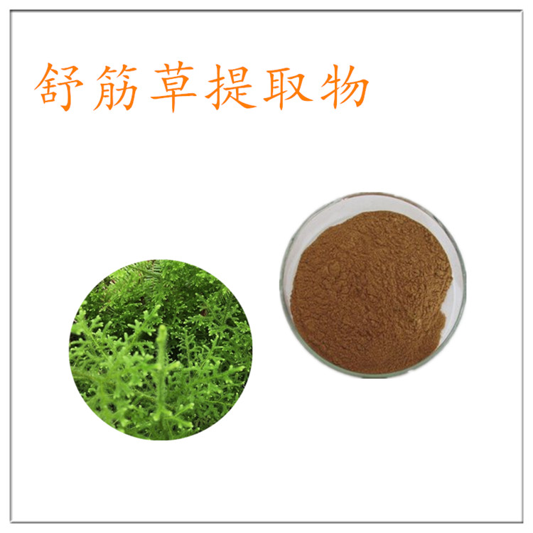 舒筋草提取物 10:1 舒筋草粉 棕黄色精细粉末  喷雾干燥工艺 可寄样