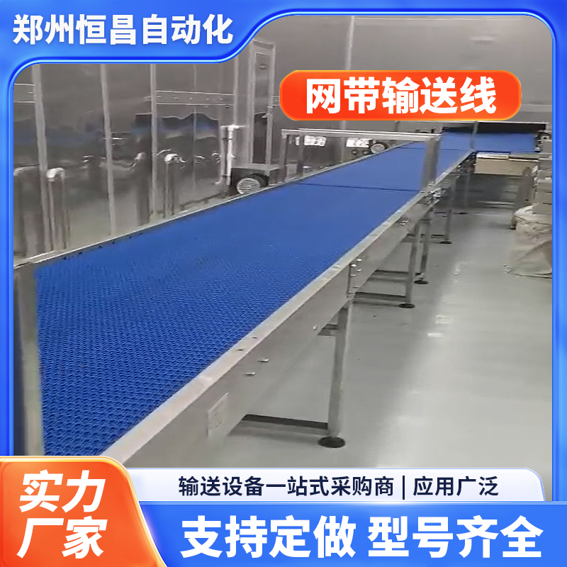 恒昌自动化 网带输送线 模组网带无毒输送带 耐磨耐腐蚀流水线