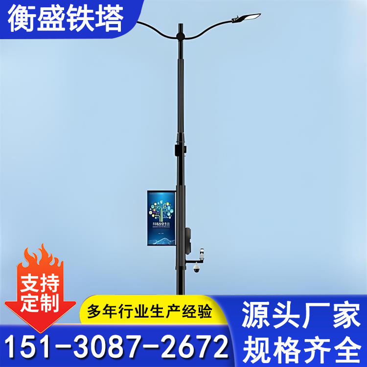 城市智慧路灯 市政工程 中式智能照明灯厂家 可定制灯杆长度