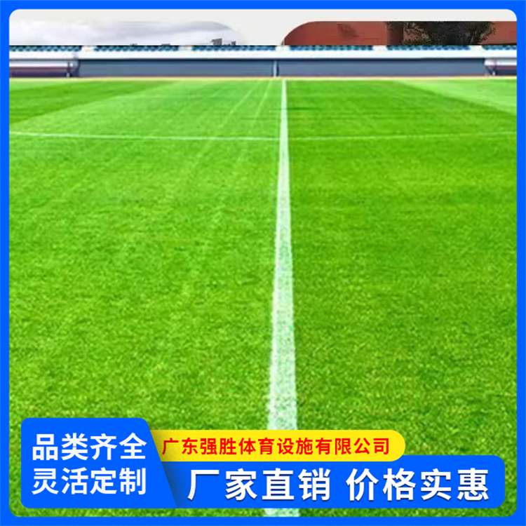 人造草坪 施工围栏遮盖塑料仿真绿草皮