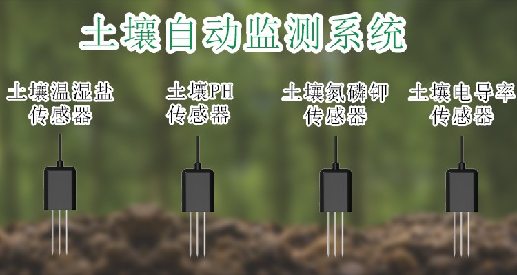 https://img.360cgb.cn/company/174c19b2a5331887741b1c100c365787.jpg
