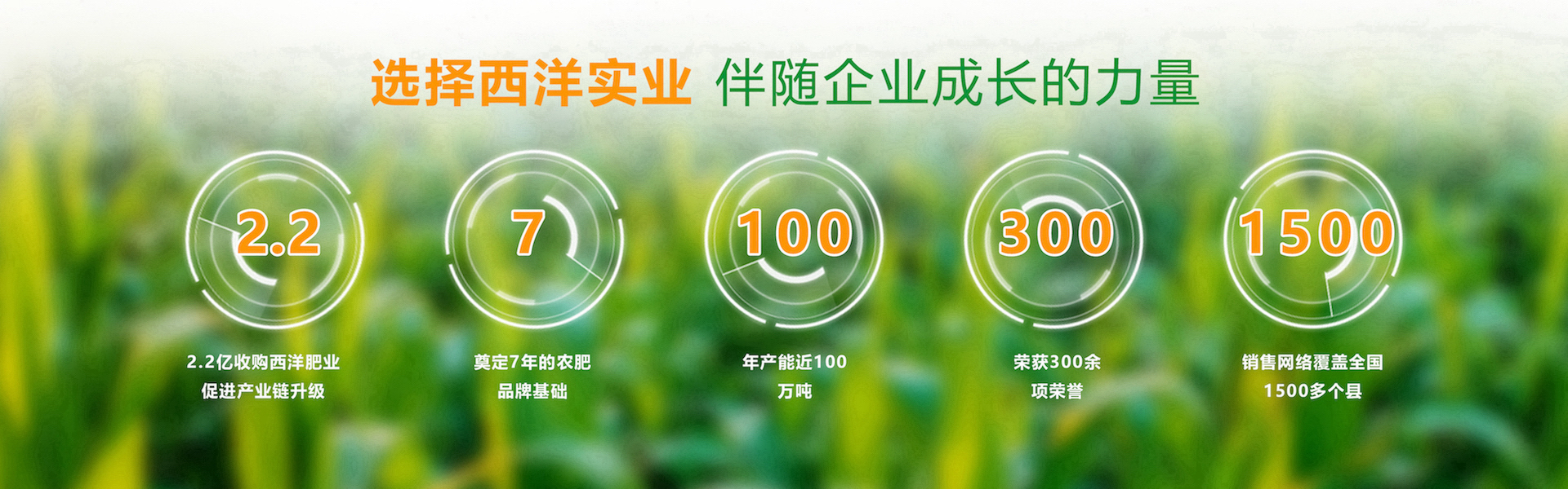 贵州西洋实业有限公司