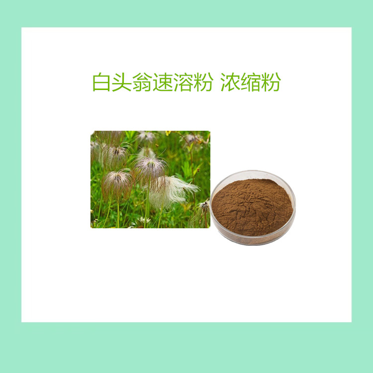 白头翁浓缩粉10:1 食品级 水溶性 植物萃取 1公斤起批