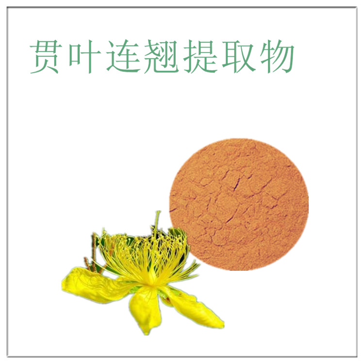 贯叶连翘提取物 10:1 金丝桃素0.3% 植物萃取工艺 沃特莱斯生物