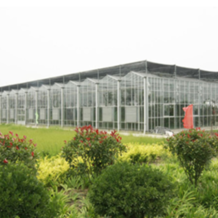 玻璃温室大棚 温室工程建设