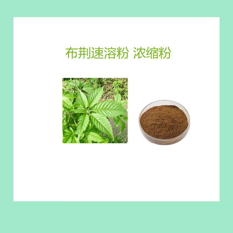 布荆浓缩粉  喷雾干燥山紫荆速溶粉 1公斤起订 支持发样