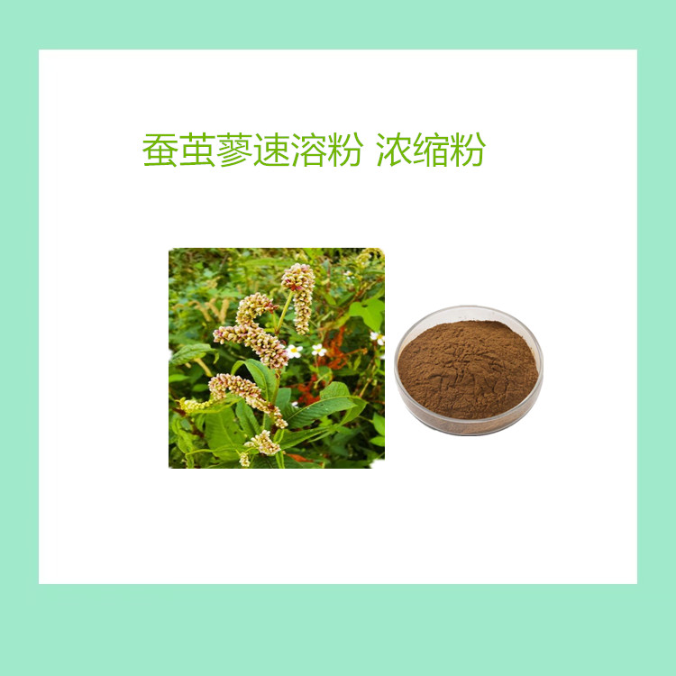 蚕茧蓼粉 浸膏  喷雾干燥蚕茧草速溶粉 食品级 水溶性1公斤起订 支持发样