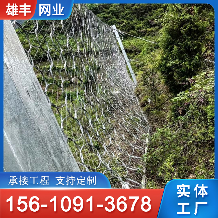 被动边坡防护网 高速公路隧道拦截落石网 山体滑坡柔性钢丝 雄丰批发