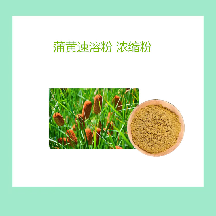 蒲黄浓缩粉 喷雾干燥速溶粉 食品级 1公斤起批 可发样