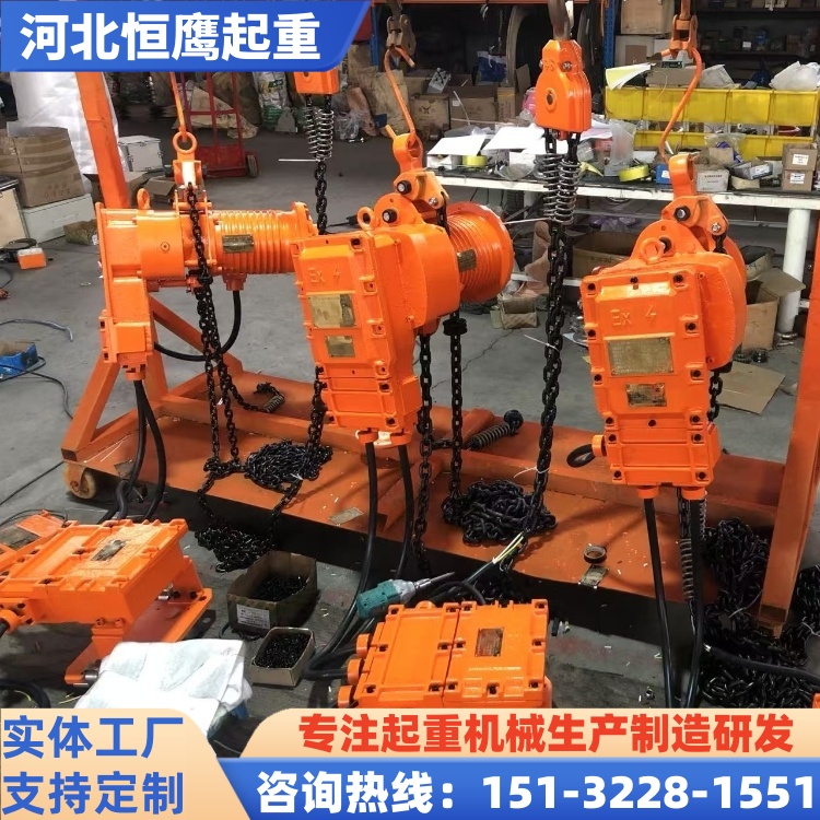 恒鹰起重 厂家定制 防爆电动葫芦 性价比高 售后有保证