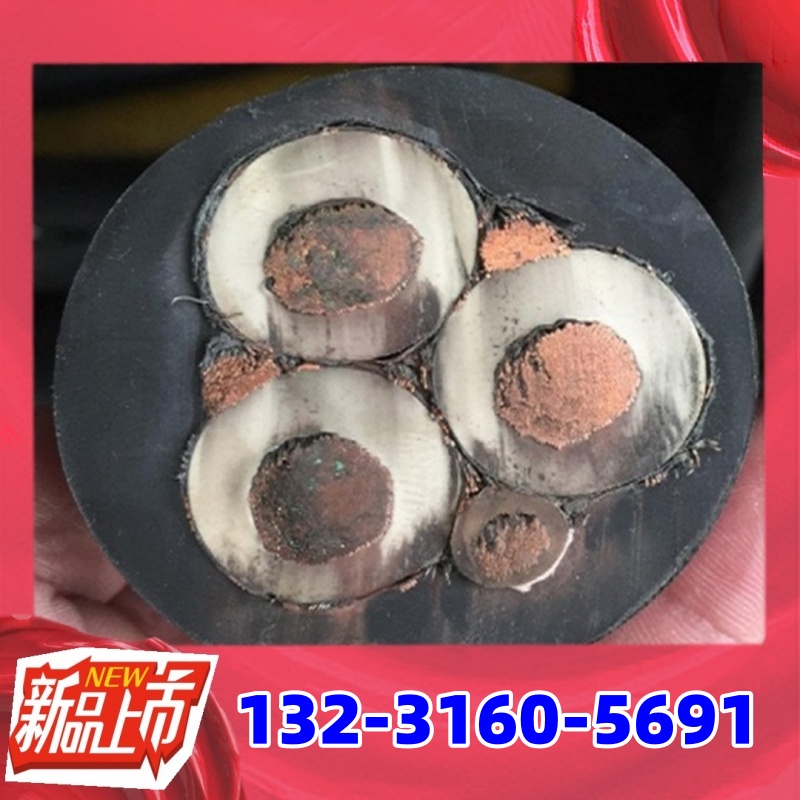 铁路信号电缆WDZB-PTYL23(PTYLH23)B级低烟无卤