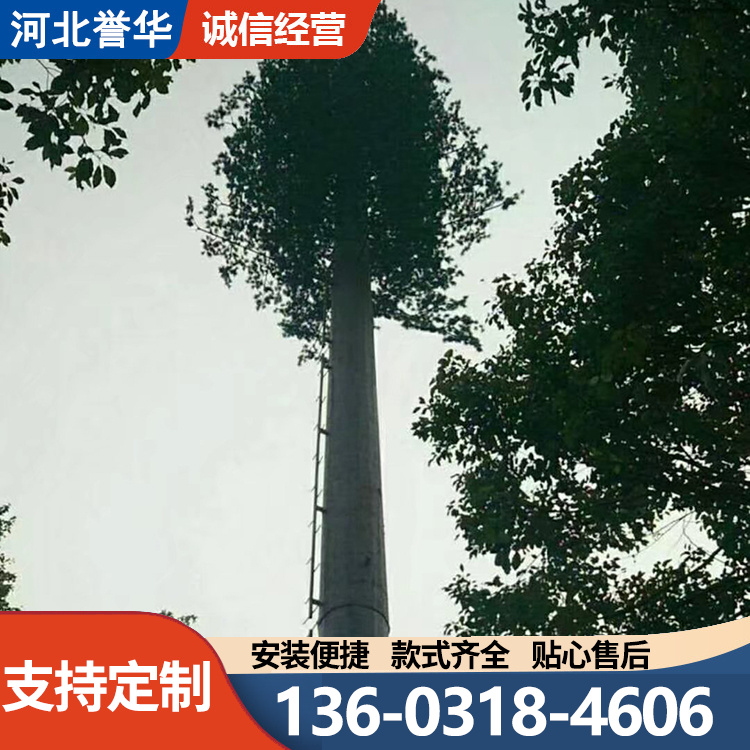 18米景区仿生树 公园酒店广场真树造型 环境风景 造型美观
