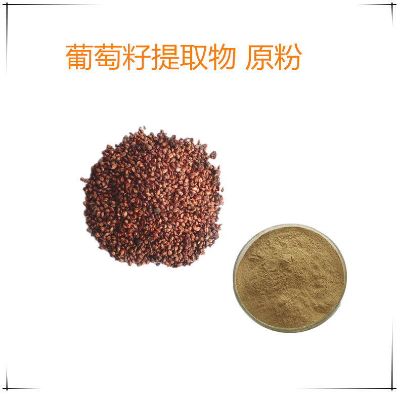 葡萄籽提取物  喷雾干燥蒲桃籽速溶粉 1公斤起订 支持发样