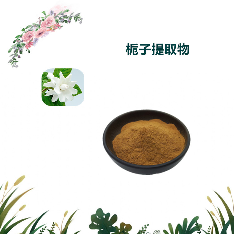 沃特莱斯生物 栀子提取物 栀子速溶粉 浸膏粉 量大可议价