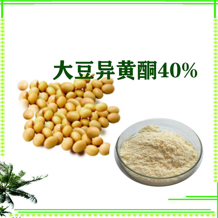 大豆异黄酮 40% 大豆提取物 小分子肽 蛋白  沃特莱斯生物