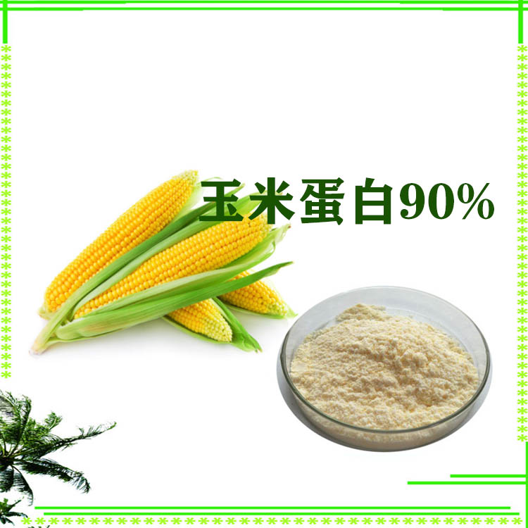 玉米肽 膳食纤维粉 玉米小分子肽 500-1000道尔顿 大量库存