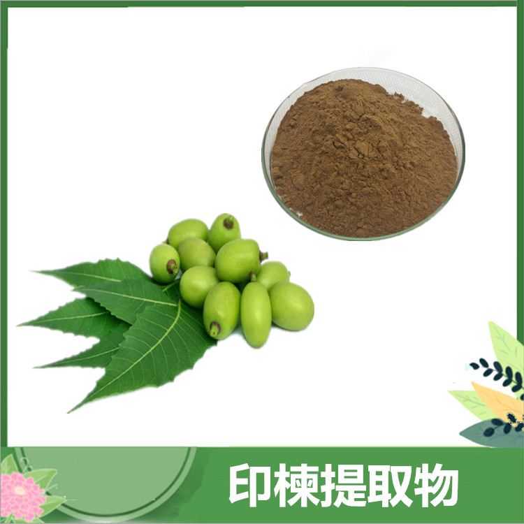 10:1比例印楝粉 印楝提取物30:1 20:1 萃取印楝素 植提印楝籽原料批发 喷雾干燥