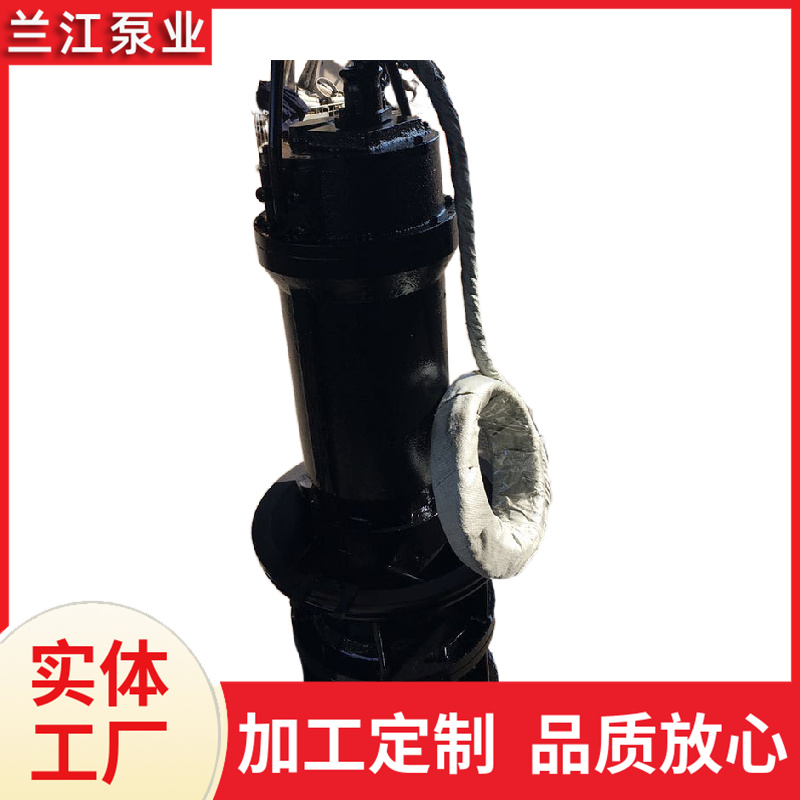 潜水轴流泵 大功率 大流量 大口径 兰江泵业