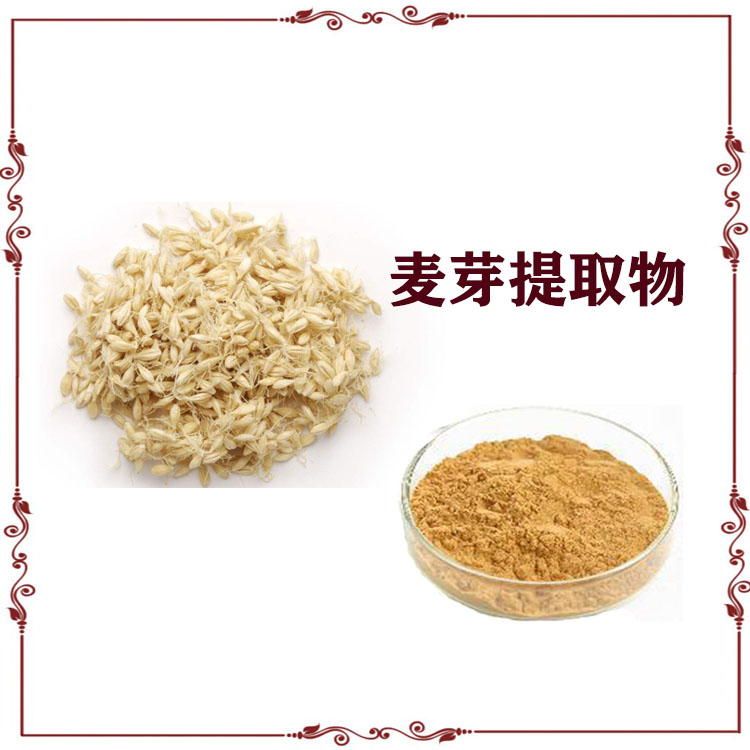 麦芽粉 小麦芽提取物 原粉 速溶粉 120目精细粉末 大量库存