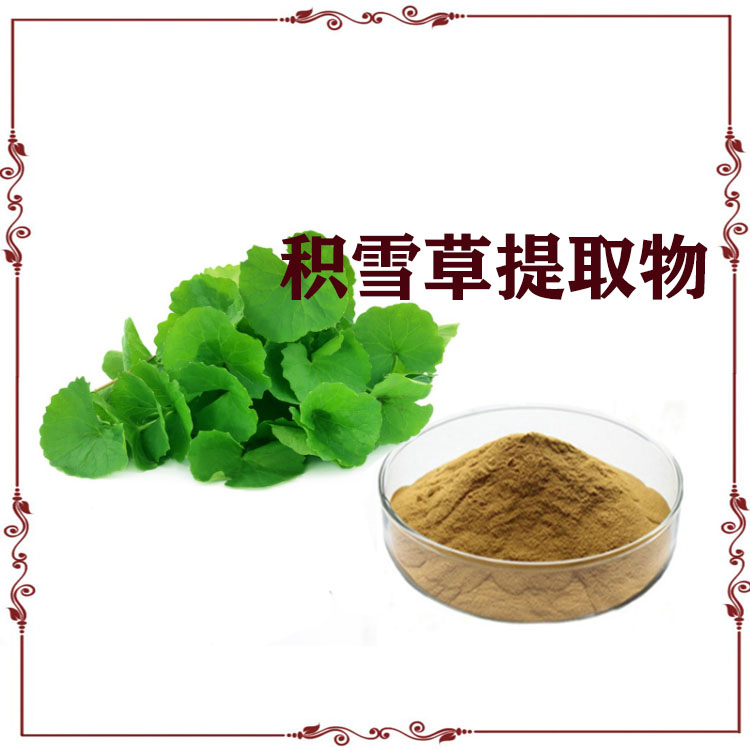 积雪草提取物 积雪草苷 速溶粉 粉末细腻 质量稳定