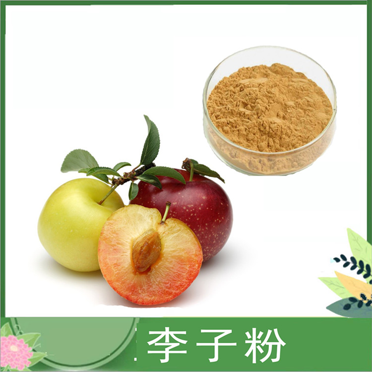 李子果粉 水溶李子汁粉 李子速溶粉 嘉应子/山李子浓缩粉 喷雾干燥 一公斤发样