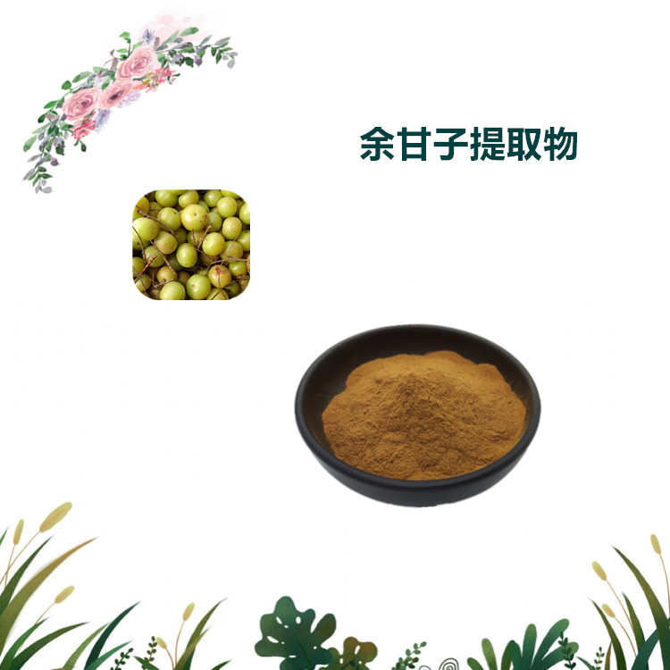 沃特莱斯生物 余甘子提取物 萃取粉 喷雾干燥粉 可定制