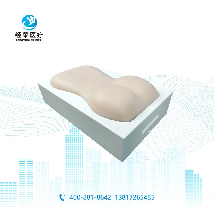 经荣医疗 推拿针刺训练模型 背部头部臀部多部位训练
