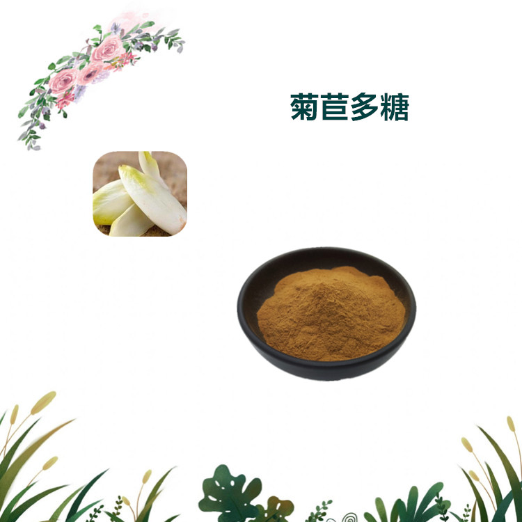沃特莱斯生物 菊苣提取物 菊苣多糖 水溶性粉末 可定制 可寄样