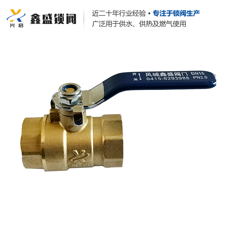 磁性锁闭阀厂家供应供水锁闭阀 8102黄铜闸阀 手动内螺纹丝扣单向阀 兴启供应