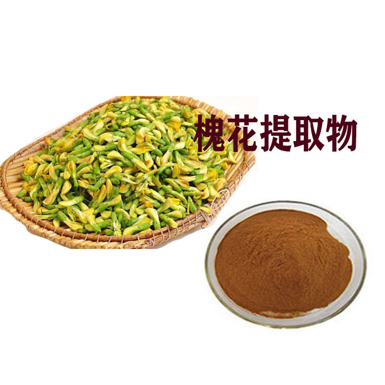 槐花粉 提取物 喷雾干燥粉 120目精细粉末