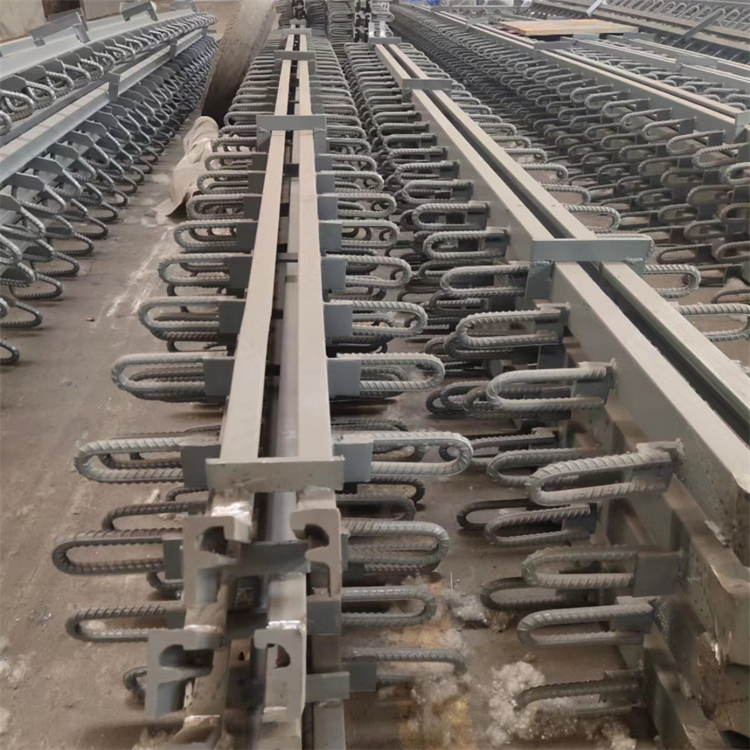 润卓供应 国道高速公路桥梁钢板建筑伸缩缝F型 产品齐全